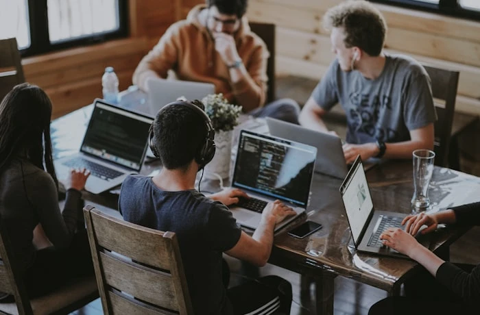 Web Ranko development team at work