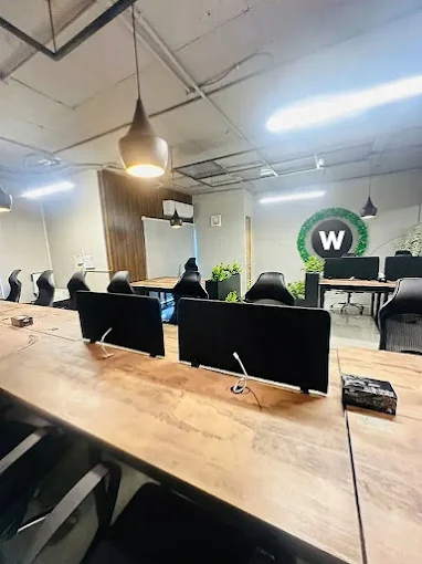 Web Ranko founding team member reviewing client strategy